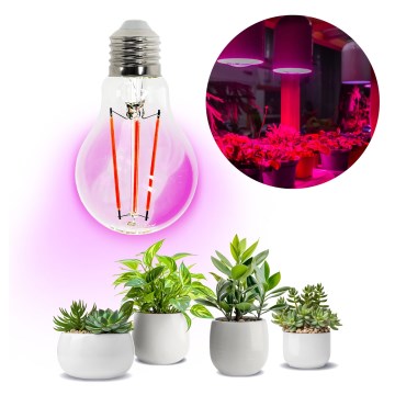 LED Bombilla para cultivo de plantas PLANTY E27/8W/230V 1200K