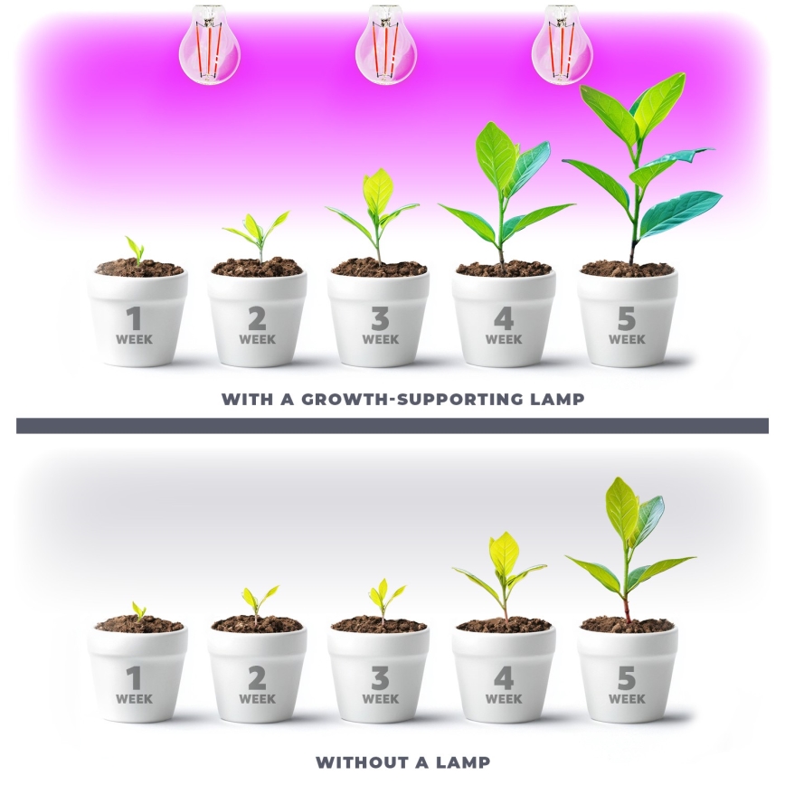 LED Bombilla para cultivo de plantas PLANTY E27/8W/230V 1200K