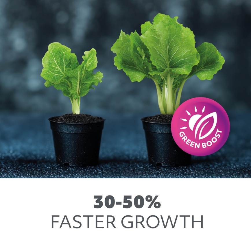 LED Bombilla para cultivo de plantas PLANTY E27/8W/230V 1200K