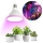 LED Bombilla para cultivo de plantas PLANTY E27/9W/230V 1200K blanco