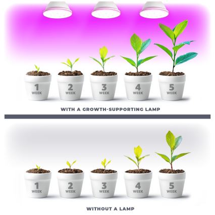 LED Bombilla para cultivo de plantas PLANTY E27/9W/230V 1200K blanco