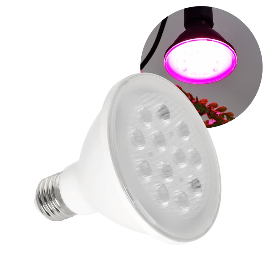 LED Bombilla para cultivo de plantas PLANTY E27/9W/230V 1200K blanco