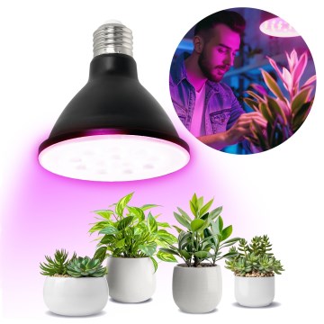LED Bombilla para cultivo de plantas PLANTY E27/9W/230V 1200K negro