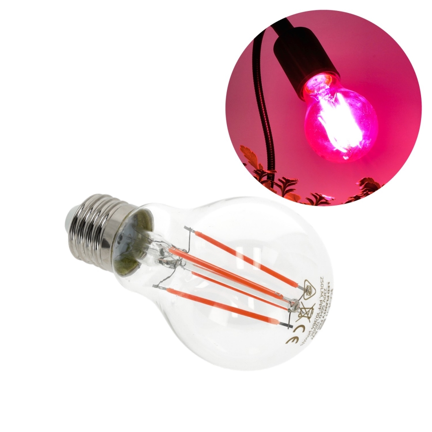 LED Bombilla para cultivo de plantas VITABLOOM E27/8W/230V 1200K - BRILAGI