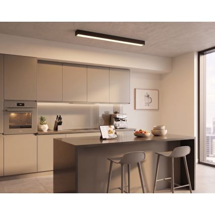 LED de superficie/colgante con cable LED/44W/230V 3000K 120 cm negra