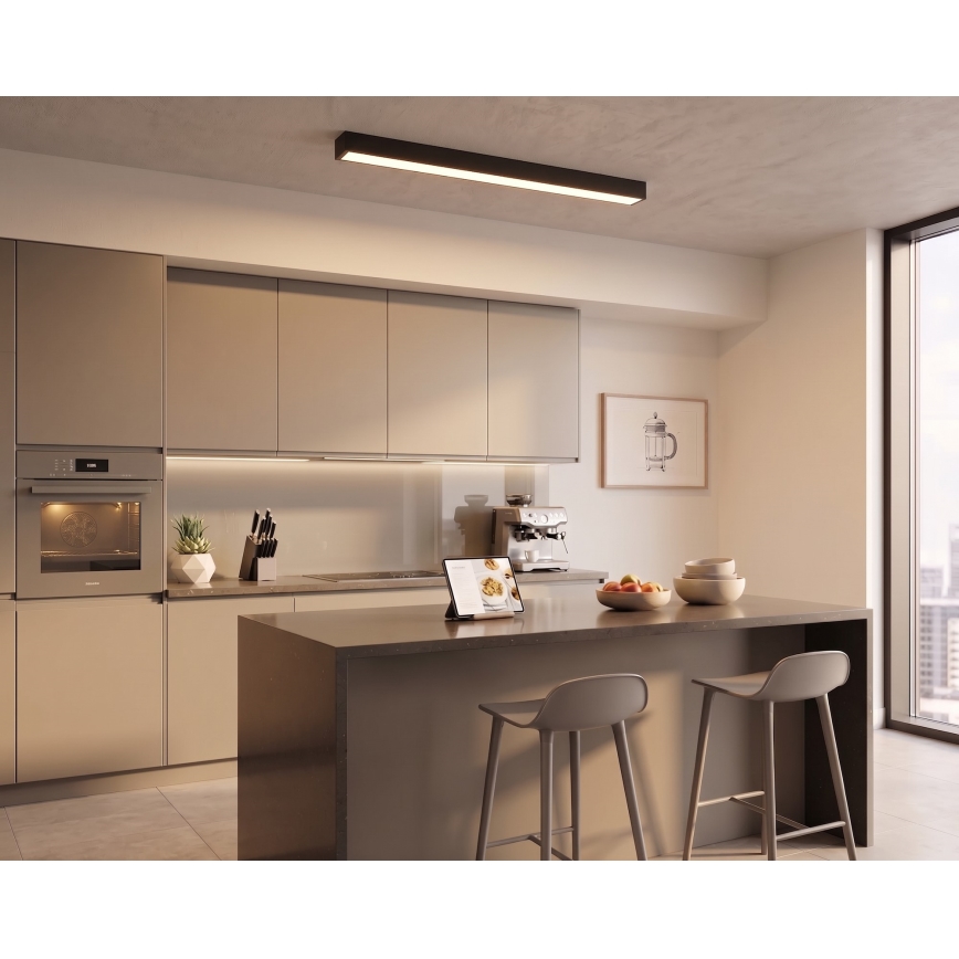 LED de superficie/colgante con cable LED/44W/230V 3000K 120 cm negra