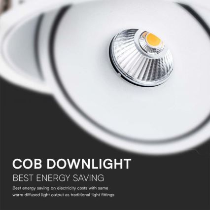 Foco empotrable LED de techo LED/20W/230V 3000/4000/6400K Ø 16,5 cm blanco