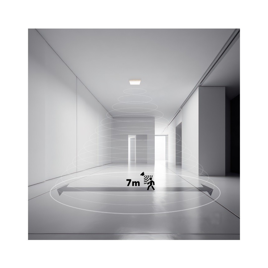 Lámpara LED para baño con sensor de movimiento y crepúsculo NIVERA LED/12W/230V IP54 3000/4000/6000K 22,5x22,5 cm negra + mando a distancia