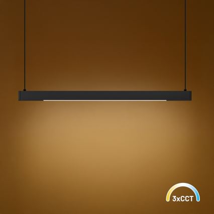 LED Lámpara colgante con cable LINEA LED/36W/230V 3000/4000/5700K CRI 90 negra