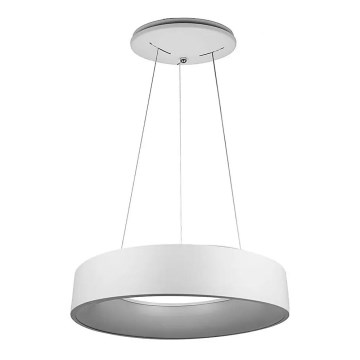 LED Lámpara colgante regulable con cable LED/20W/230V