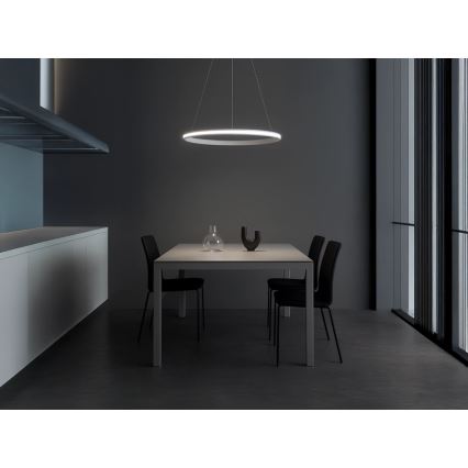Lámpara colgante LED regulable con cable LED/55W/230V 3000-6500K Ø 60 cm + control remoto