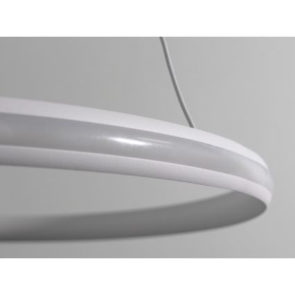 Lámpara colgante LED regulable con cable LED/55W/230V 3000-6500K Ø 60 cm + control remoto