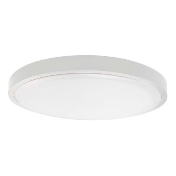 LED Lámpara de techo para baño LED/18W/230V 3000K IP44 Ø 25 cm blanca