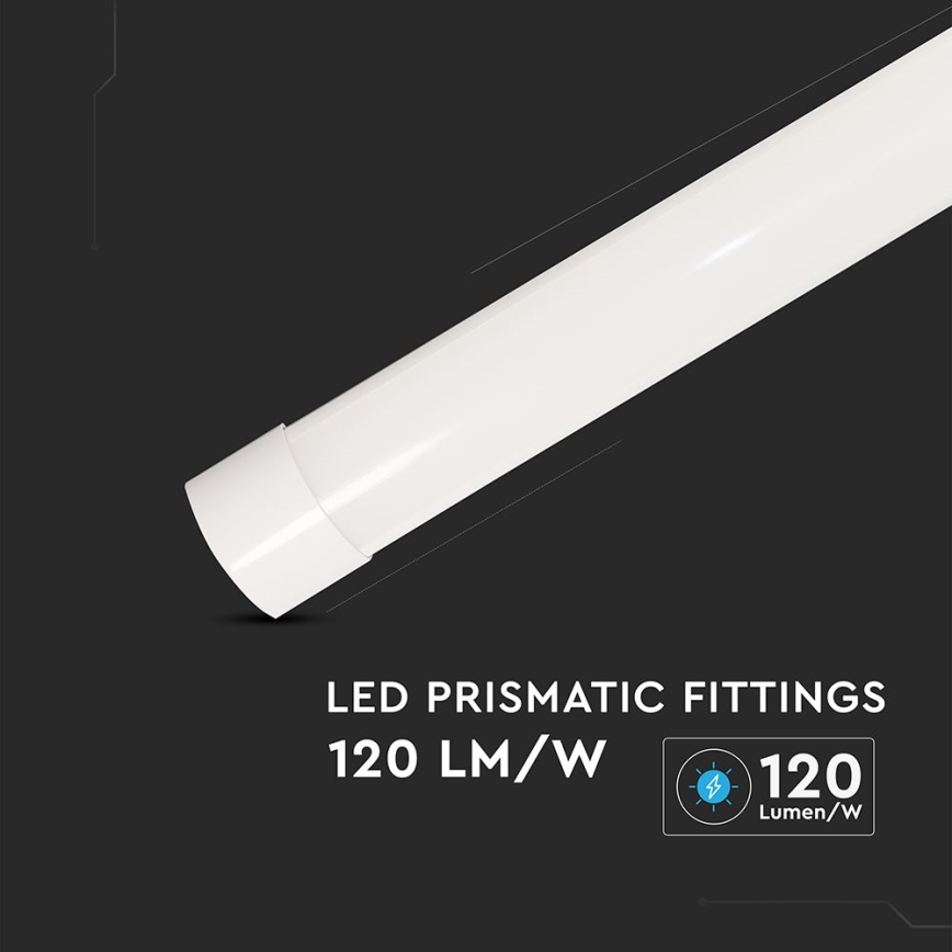 LED Lámpara fluorescente LED/10W/230V 6500K 30 cm blanco