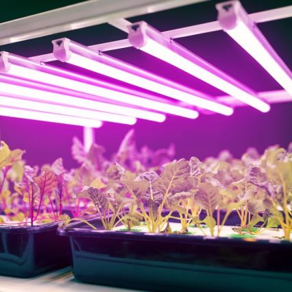 Lámpara LED para cultivo de plantas GROWLY LED/9W/230V blanca
