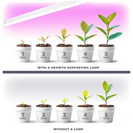 Lámpara LED para cultivo de plantas GROWLY LED/9W/230V blanca