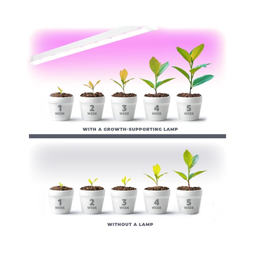 Lámpara LED para cultivo de plantas GROWLY LED/9W/230V blanca