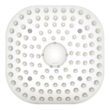 LED módulo MODULE LED/30W/230V