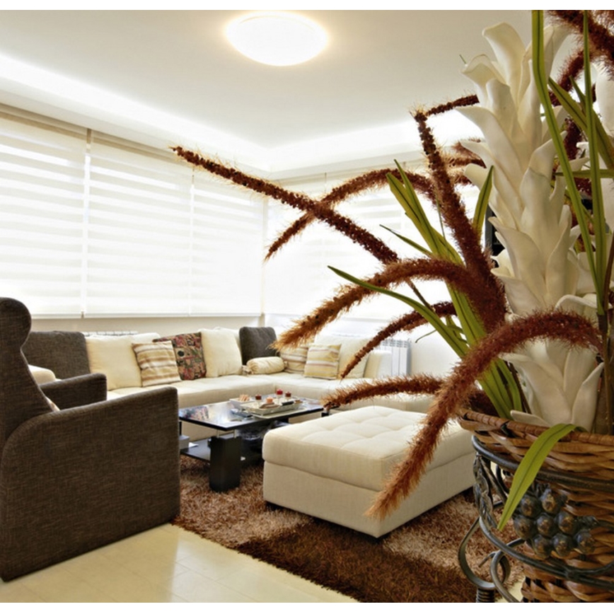 LED Plafón del baño VICTOR LED/25W/230V IP44
