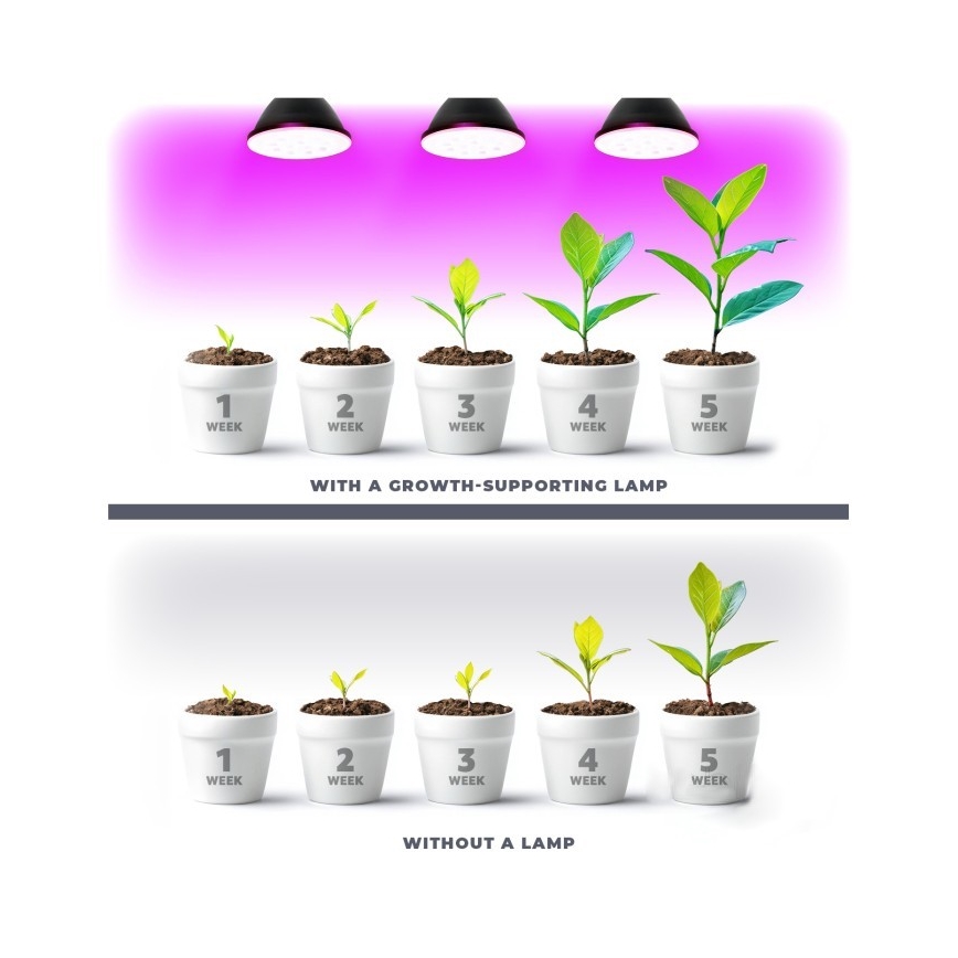 Bombilla LED para crecimiento de plantas PLANTY E27/7W/230V 1200K negra