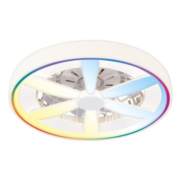 LED RGBW Lámpara de techo regulable con ventilador ZAMBIA LED/24W/230V 3000-6500K blanca + mando a distancia