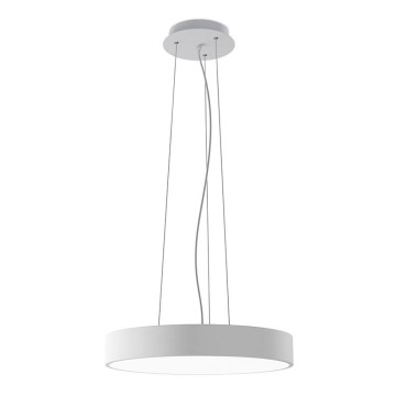 LED2 - Lámpara colgante LED en cable MONO SLIM LED/30W/230V 3000K/4000K Ø 40 cm blanca