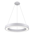 LED2 - Lámpara de araña de cable LED SATURN LED/50W/230V 3000/4000K blanco