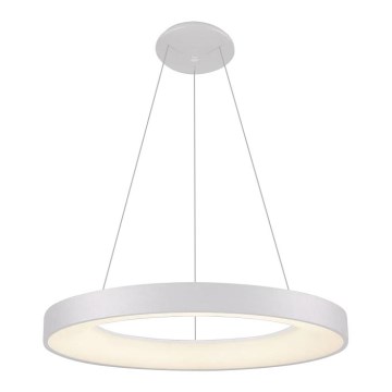 LED2 - Lámpara LED colgante BELLA LED/50W/230V 3000K diá. 60 cm blanco