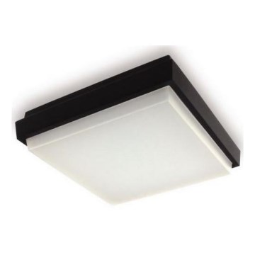 LED2 - Plafón exterior LED QUADO LED/10W/230V antracita IP54