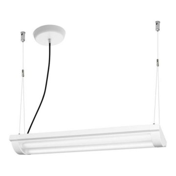 Ledvance - Lámpara colgante LED Regulable OFFICE LINE 2xLED/12,5W/230V
