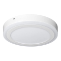 Ledvance - Lámpara de techo LED ROUND LED/18W/230V dia. 30 centimetros