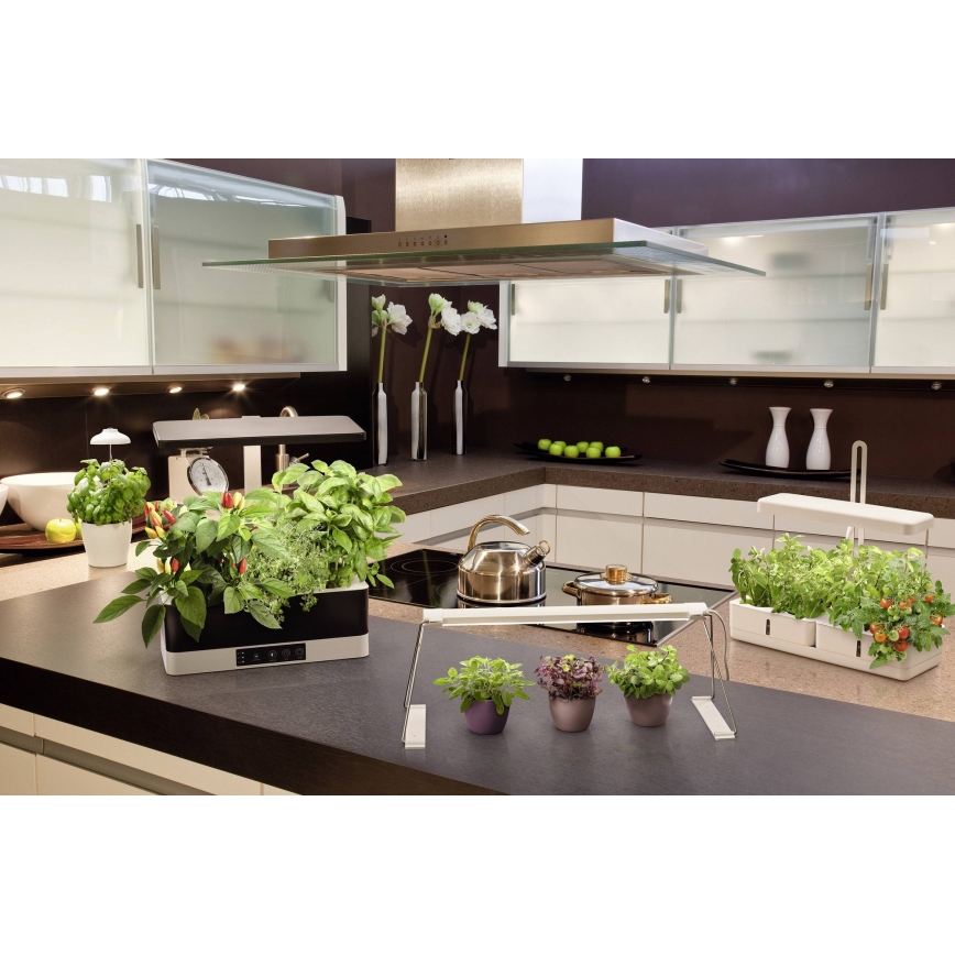 Ledvance - Lámpara LED regulable para plantas de interior GARDEN KIT LED/24W/230V
