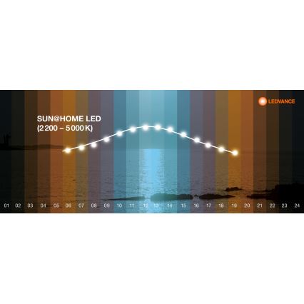 Ledvance - Plafón LED regulable SUN@HOME LED/35W/230V 2200-5000K CRI 95 Wi-Fi