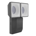 Ledvance - Luminaria de pared LED para exteriores con sensor SPOT 2xLED/8W/230V IP55