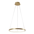 Leuchten Direkt 11522-12 - Araña LED colgante CIRCLE LED/19W/230V