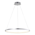 Leuchten Direkt 11524-21 - LED Lámpara colgante CIRCLE LED/28,5W/230V