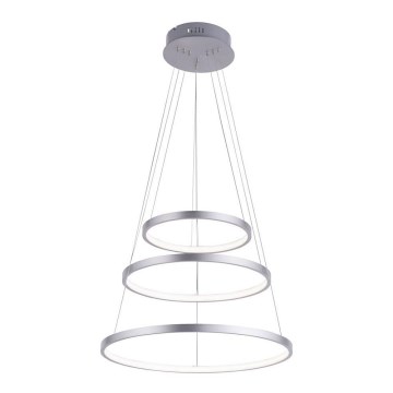 Leuchten Direkt 11526-55 - Lámpara colgante LED regulable suspendida en cable CIRCLE LED/13,5W/230V + LED/19,5W + LED/24W