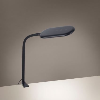 Leuchten Direkt 14404-18 - Lámpara de mesa LED regulable con clip KELLY LED/7W/230V 3000/4000/6000K