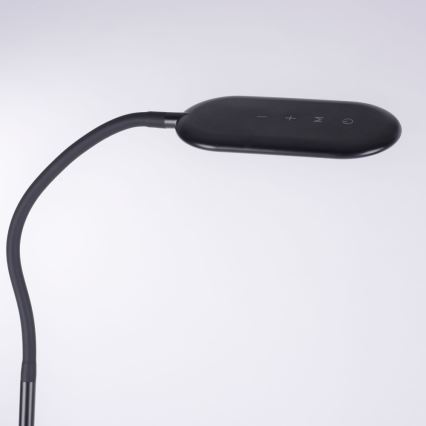 Leuchten Direkt 14406-18 - LED Regulable táctil Lámpara de pie KELLY LED/7W/230V 3000/4000/6000K