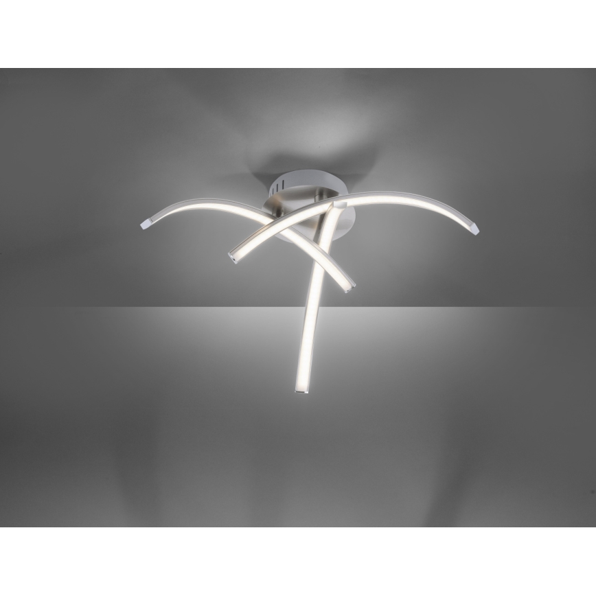 Leuchten Direkt 15341-55 - Lámpara de techo LED VALERIE 3xLED/3,7W/230V