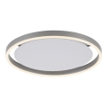 Leuchten Direkt 15391-95 - Plafón LED regulable RITUS LED/20W/230V cromo mate