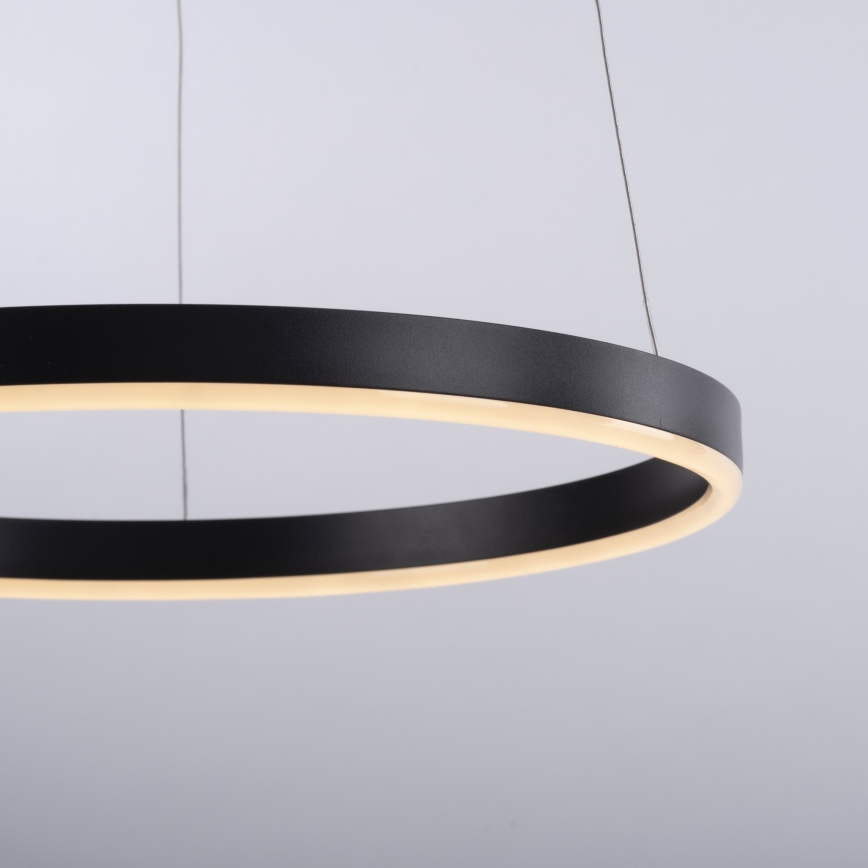 Leuchten Direkt 15393-13 - Lámpara colgante regulable en cable RITUS LED/23,5W/230V negra