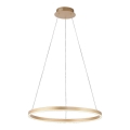 Leuchten Direkt 15394-60 - Lámpara de araña LED regulable con cable RITUS LED/30W/230V latón