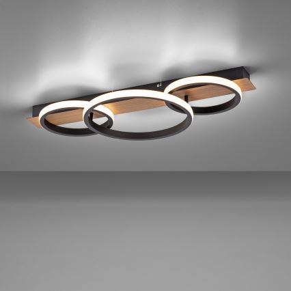 Leuchten Direkt 15616-78 - Lámpara de techo LED TROOPER LED/37W/230V