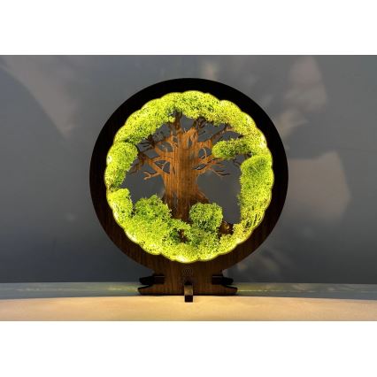 Li-Go 23604/DUB2 - Lámpara de mesa decorativa LED regulable LED/12W/230V 20x22 cm roble/musgo y árbol