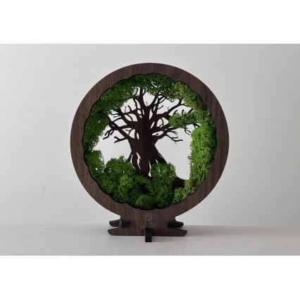 Li-Go 23604/DUB2 - Lámpara de mesa decorativa LED regulable LED/12W/230V 20x22 cm roble/musgo y árbol