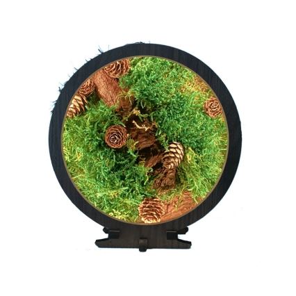 Li-Go 23654 - Lámpara decorativa de sobremesa LED regulable LED/12W/230V 20x22 cm nogal/motivo musgo
