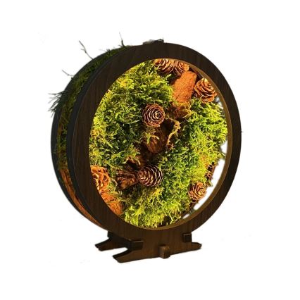 Li-Go 23654 - Lámpara decorativa de sobremesa LED regulable LED/12W/230V 20x22 cm nogal/motivo musgo