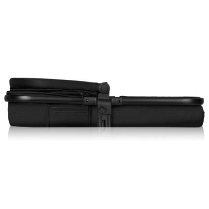 Lionelo - Cochecito combinable 3 en 1 AMBER Negro/Plateado
