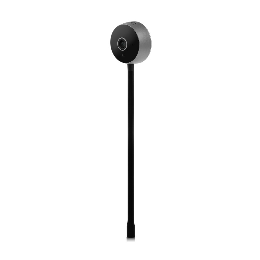 Lionelo - Monitor de bebé inteligente BABYLINE SMART Wi-Fi Negro
